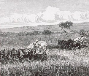 Reaping, Adelaide Sul, Austrália de English School