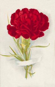 Cravo vermelho (cromolitho) de English School