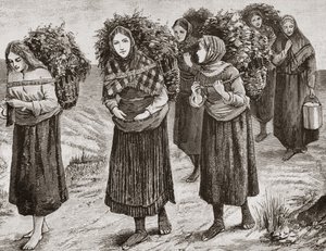 Retorno do Shieling, as Hébridas em c.1880, de &39;Scottish Pictures&39; publicado pela Religious Tract Society, 1886 de English School