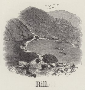 Rill (gravura) de English School