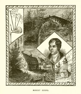 Robert Burns de English School