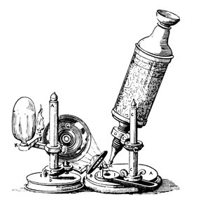 Microscópio Robert Hookes de English School
