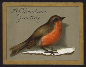 Robin (chromolitho) de English School