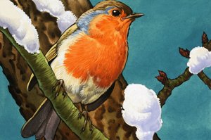 Robin de English School
