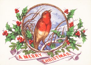 Robin que canta no ramo, cartão de Natal de English School