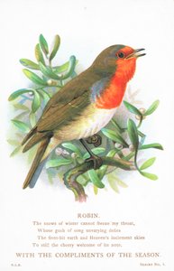 Robin que canta no ramo, cartão de Natal de English School