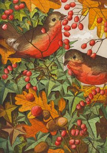 Robins (litografia a cores) de English School