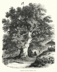 A castanheira de Robinson Crusoe (gravura) de English School