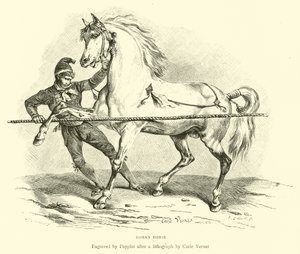 Cavalo romano de English School