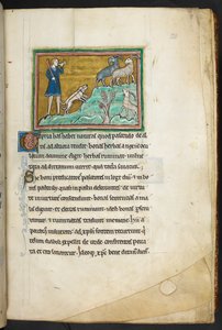 Royal 12 F.XIII, F.20 Um caçador ou fazendeiro com cães, perseguindo cabras.  Bestiário (ff. 3-141), lapidário (ff. 141v-149)  2º trimestre do século 13 de English School