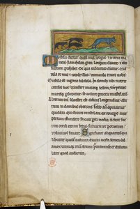 Real 12 F.XIII, f.43v Ratos perseguindo um gato, de Bestiary (ff. 3-141), Lapidary (ff. 141v-149)  , 2º quartel do século 13 (velino) de English School