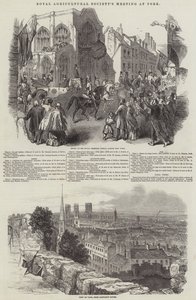Reunião da Royal Agricultural Society, em York (gravura) de English School