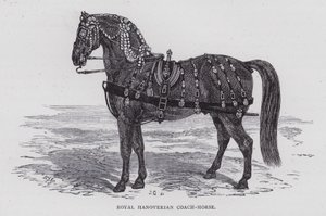 Royal Hanoverian Coach-Horse (gravura) de English School