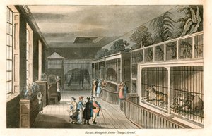 Royal Menagerie, Exeter Change, Strand (gravura a cores) de English School