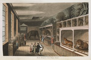 Royal menagerie, Exeter (Change Exchange), Strand.Select views of London : com esboços históricos e descritivos de alguns dos mais interessantes edifícios públicos / compilados e organizados por J.B. Papworth. John Buonarotti PapworthLondres de English School
