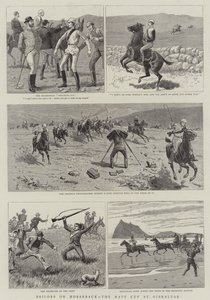 Sailors on Horseback, the Navy Cup at Gibraltar (gravura) de English School