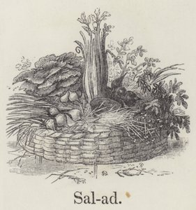 Salada (gravação) de English School