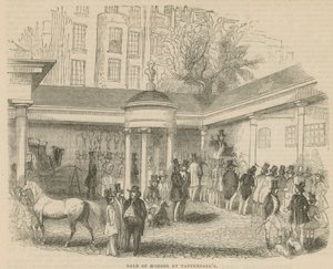 Venda de cavalos em Tattersalls de English School