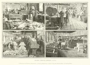 Salmão, canning, oregon, eua