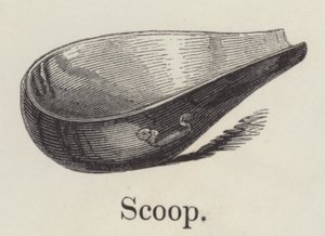 Scoop (gravura) de English School