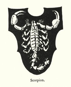 Escorpião (gravura) de English School