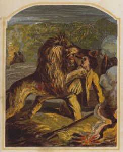 O missionário escocês David Livingstone atacado por um leão em África (cromolitografia) de English School