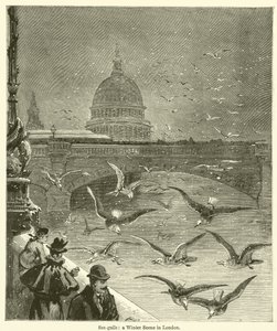 Gaivotas, uma cena de inverno em Londres (gravura) de English School
