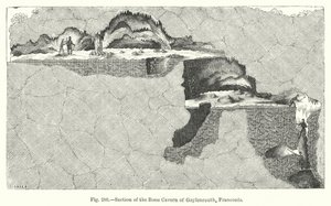 Secção da caverna óssea de Gaylenreuth, Franconia (gravura) de English School
