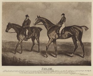 Selim (litografia) de English School