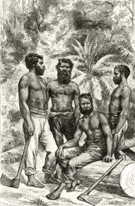 Aborígenes vitorianos semi-civilizados, de &39;Australian Pictures&39;, de Howard Willoughby, publicado pela Sociedade de Tratados Religiosos, Londres, 1886 de English School