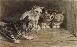 Vários gatos a olhar para a cauda de um rato (gravura colorida) de English School