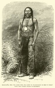 Shawanoh, o chefe Ute que foi enviado a Washington em 1863 para tratar com o governo dos Estados Unidos de English School