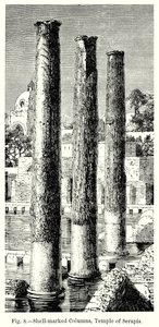 Colunas marcadas com conchas, Templo de Serápis (gravura) de English School