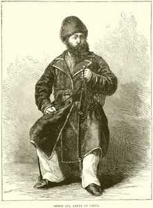 Shere Ali, Ameer de Cabul de English School