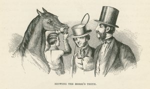 Mostrando os dentes do cavalo (gravura) de English School
