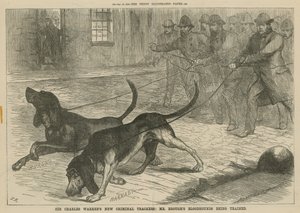 Sir Charles Warrens novos rastreadores criminosos: cães de caça do Sr. Broughs sendo treinados de English School
