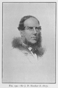 Sir Joseph Dalton Hooker (1817-1911), retrato (litografia) de English School