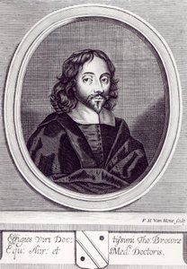 Sir Thomas Browne (1605-82), gravado por Frederick Hendrick van Hove (c.1628-98) de English School
