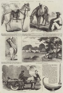 Esboços da vida nativa na Índia (gravura) de English School