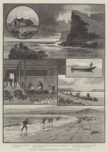 Esboços da pesca de focas no mar de Behring, São Paulo, Ilhas Pribylov de English School