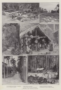 Esboços sobre a fronteira venezuelana (litho) de English School