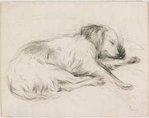 Cão Adormecido, c.1840 (grafite sobre papel) de English School