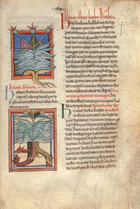 Sloane Ms 1975 fol.48 The Herb Basilica de English School