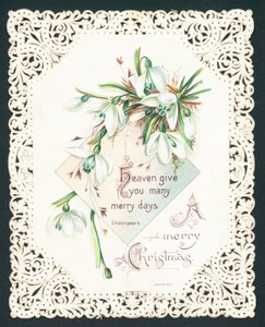 Snowdrops, cartão de Natal de English School