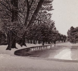 Sophia Gardens, Cardiff (litho) de English School