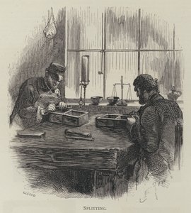 Divisão de English School
