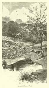 Primavera, Richmond Park de English School