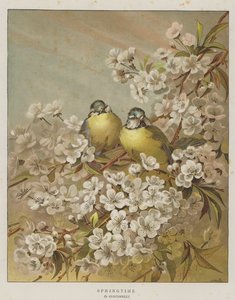 primavera (cromolitho) de English School