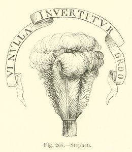 Stephen de English School