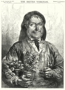 História de uma flor (gravura) de English School